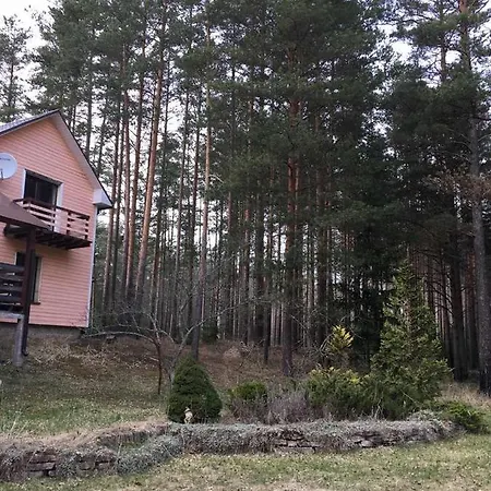 Dom wakacyjny лесной коттедж Svetofor в Narva-Jõesuu