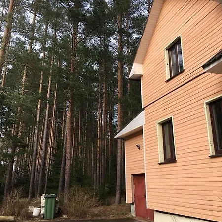 лесной коттедж Svetofor в *