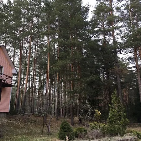 Dom wakacyjny лесной коттедж Svetofor в