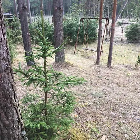 лесной коттедж Svetofor в *
