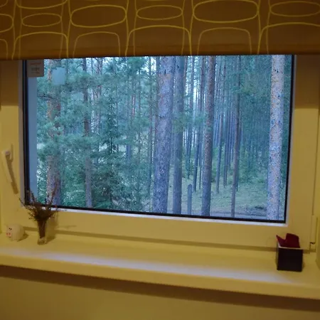 лесной коттедж Svetofor в Dom wakacyjny Narva-Jõesuu